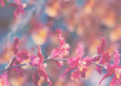 业务流程优化的网页攻击平台